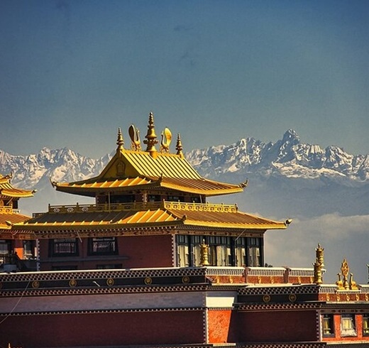 Roars & Rituals of Nepal